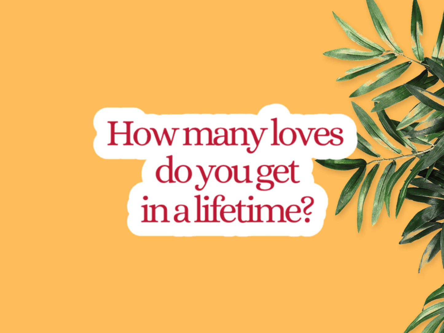 How Many Loves Do You Get In A Lifetime Magnolia Parks Quote Sticker