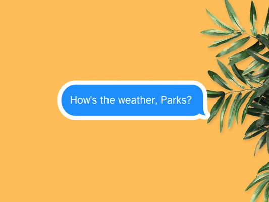 How's The Weather Parks Magnolia Parks Sticker